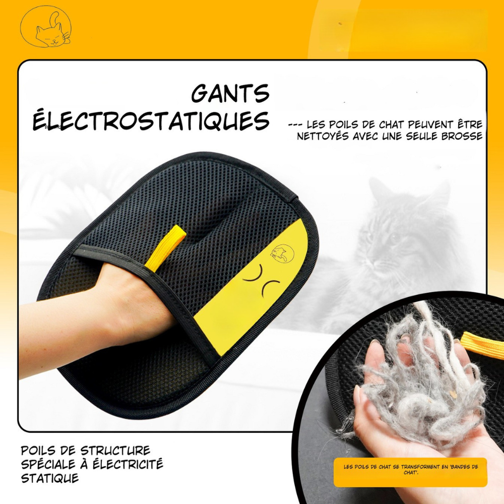AttrapePoils™